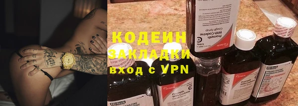 прущие грибы Осташков