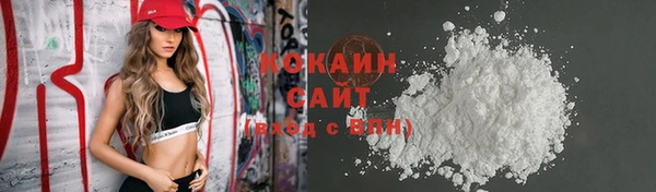 прущие грибы Осташков