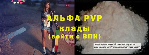 прущие грибы Осташков