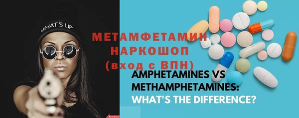 прущие грибы Осташков