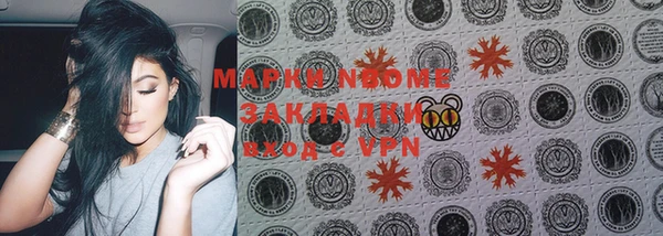 прущие грибы Осташков