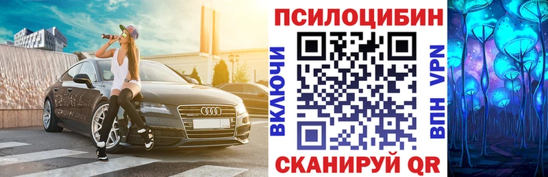 Галлюциногенные грибы MAGIC MUSHROOMS  купить закладку  Александровск-Сахалинский 